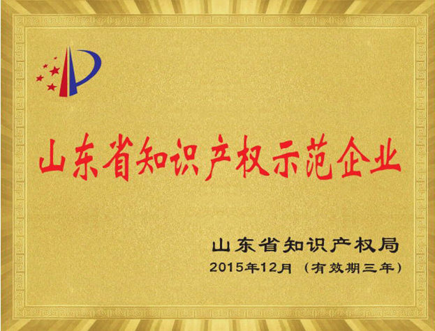 山東省知識產權示范企業