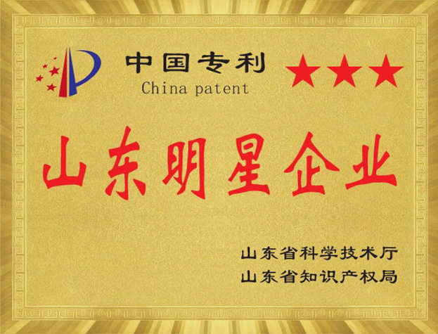 山東明星企業