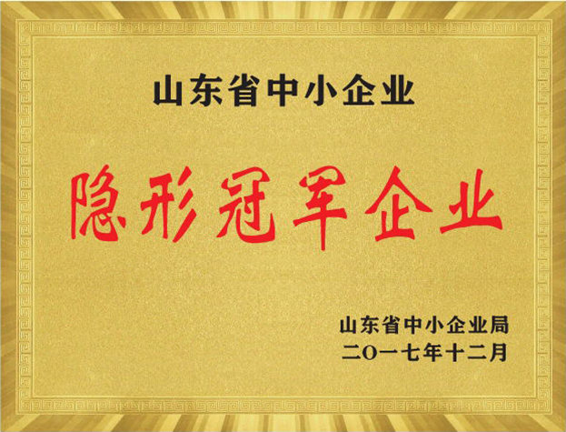 山東省中小企業隱形冠軍企業